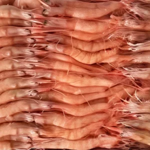 gamba arrocera