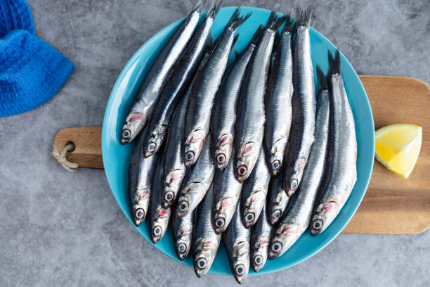 Anchoa (0,5kg aprox.) - Imagen 2