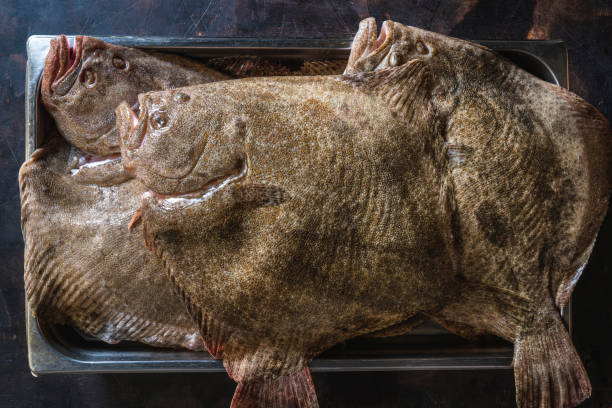 Rodaballo (1,6kg aprox.) - Imagen 2