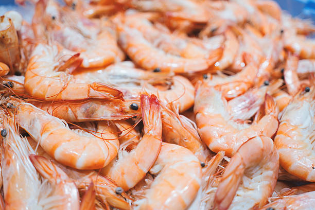 Gamba a la plancha (1kg aprox.) - Imagen 2