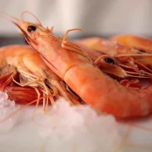 langostino cocido