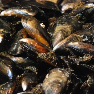 mejillon grande freskue